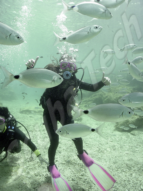 Discover Scuba Divers at Green Bay